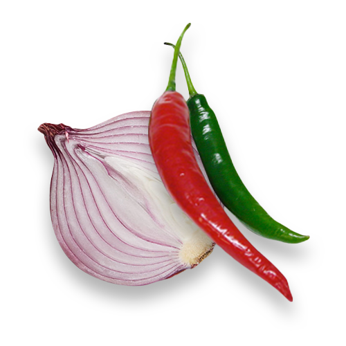 background onion image